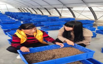 种养殖培训心得体会6篇