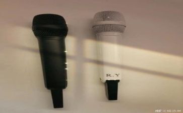关于年的演讲稿7篇