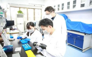 研究小报告作文最新6篇