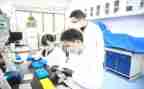 教育研究调查报告6篇