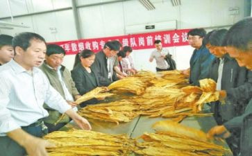 试验员的年终总结模板6篇
