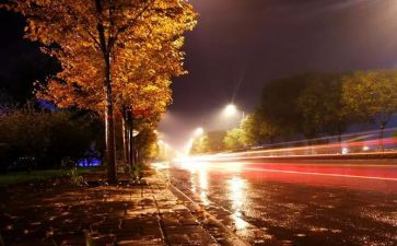 平安夜活动总结8篇