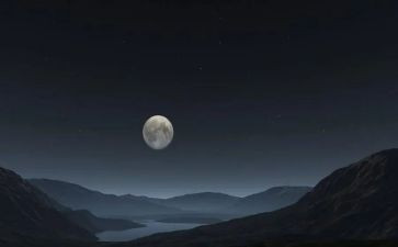 夜景小学生作文8篇