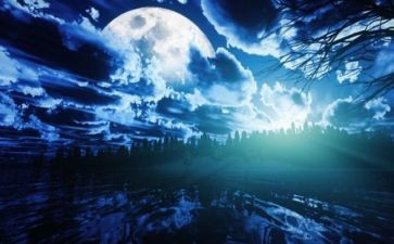 奇妙的夜作文精选7篇
