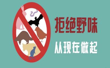 有关拒绝野味的演讲稿5篇