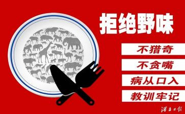 六年级拒绝野味演讲稿5篇