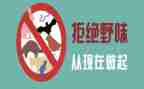 拒食野味演讲稿6篇