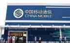 移动公司公司述职报告范文6篇