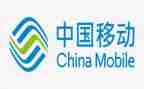个人移动工作总结最新6篇