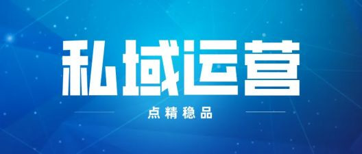 营运工作总结范文5篇