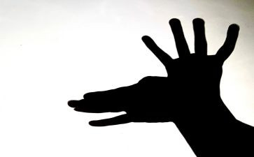 藏影子教案8篇