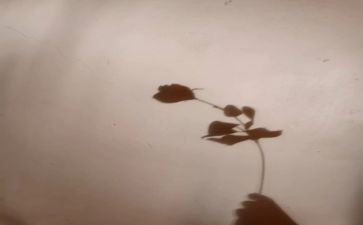 找影子大班教案7篇