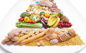 关于饮食的心得5篇