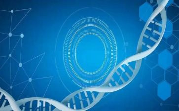 医学生毕业自我鉴定5篇