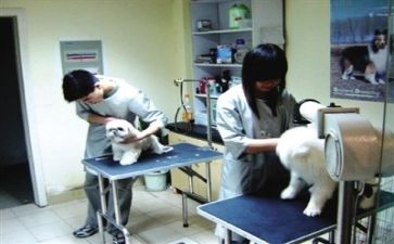 医院药剂人员个人总结5篇