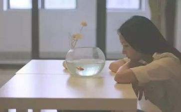 找自己的优点作文7篇