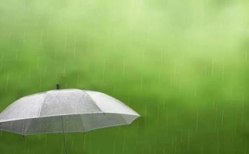 2024年春雨作文5篇