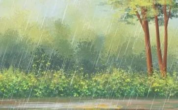 幼儿园大班雨来了教案参考5篇