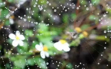 下小雨作文600字8篇