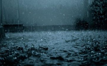 小学语文秋天的雨教案6篇