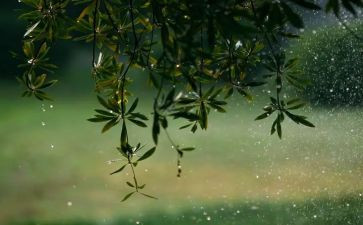 小班教案糖果雨教案7篇