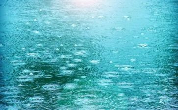 小班语言下雨的时候教案8篇