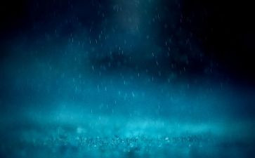 狼的孩子雨和雪心得体会7篇