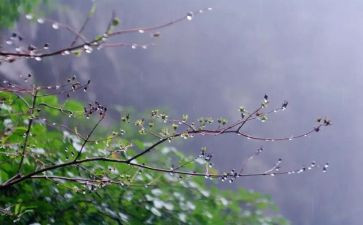 小班教案糖果雨教案优质5篇