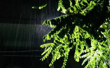 下小雨的作文通用5篇