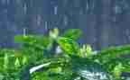 狼的孩子雨和雪心得体会优秀6篇