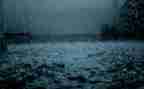 小学语文秋天的雨教案6篇