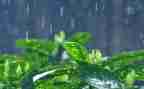 雨后的演讲稿5篇