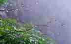小班教案糖果雨教案优质5篇