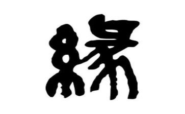 缘分的作文7篇