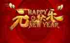 元旦系列活动的总结5篇