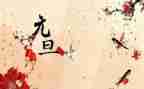 幼儿园元旦节主题活动方案模板5篇