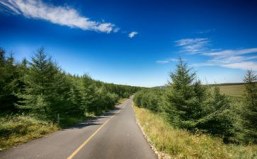 看向远方的作文最新7篇