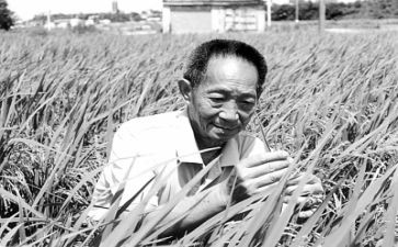 奠袁隆平作文优秀6篇