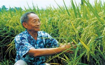 讲袁隆平演讲稿7篇