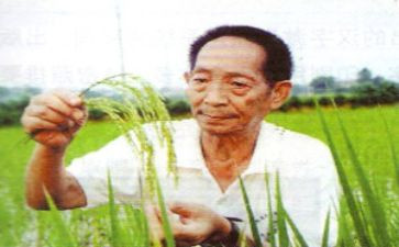 奠袁隆平作文6篇