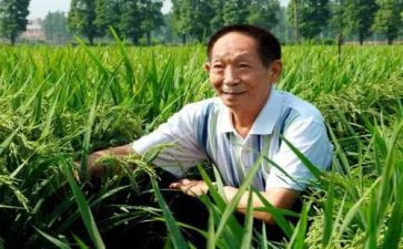 有关于袁隆平的演讲稿8篇
