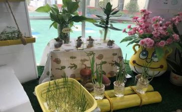 幼儿园培训教师总结5篇