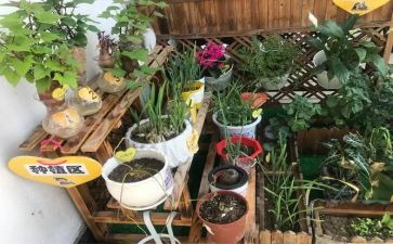 幼儿园培训总心得推荐5篇