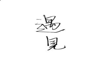 遇见猫作文800字精选5篇