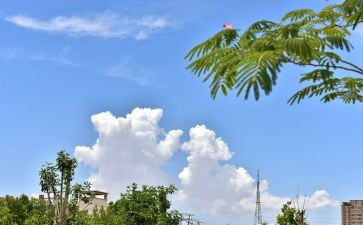 幼师云实习个人总结5篇