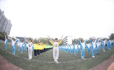 看奥运会作文2024600字模板5篇