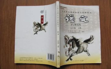 实用语文个人总结7篇