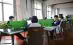 学生在校鉴定表自我鉴定最新7篇