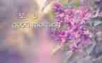 早教年度工作计划6篇