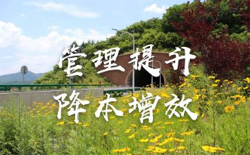 市提质增效工作总结8篇